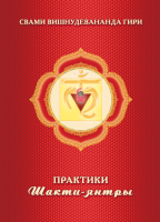 Практики Шакти-янтры