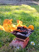 Проведение индивидуальной хомы в Шива Према Сагар ашраме