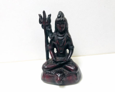 Шива бордовый