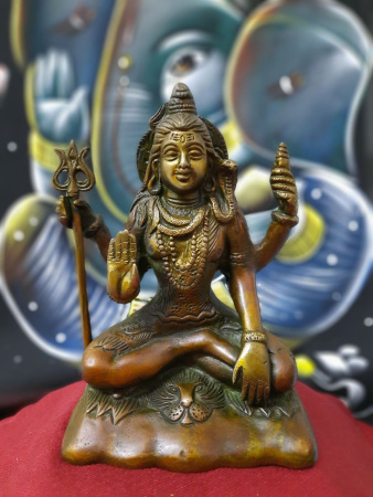 Шива коричневый